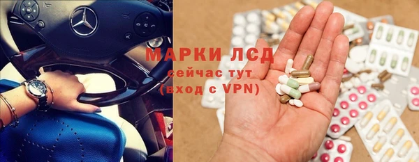 стаф Новозыбков
