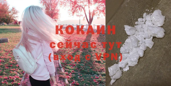шишки Нязепетровск