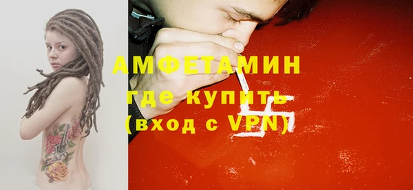 стаф Новозыбков