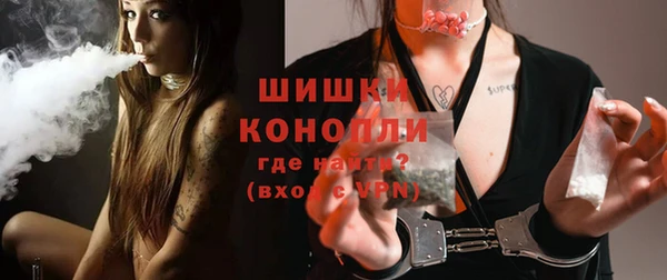 шишки Нязепетровск