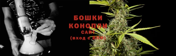 стаф Новозыбков