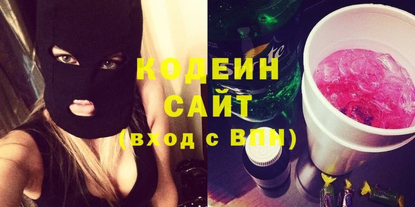 стаф Новозыбков