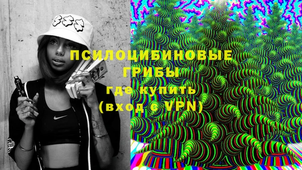 MESCALINE Няндома