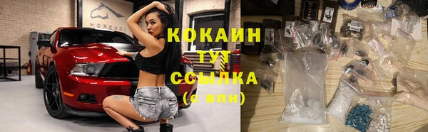 шишки Нязепетровск