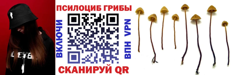 Псилоцибиновые грибы Magic Shrooms  hydra ссылка  Семикаракорск 